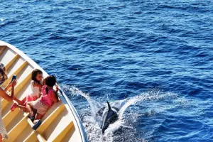 Cruises Chalkidiki