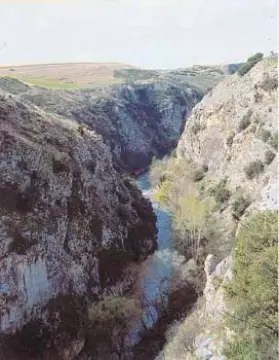 Aggiti Alistrati