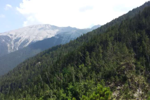 Olympus Greece