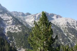 Olympus Greece