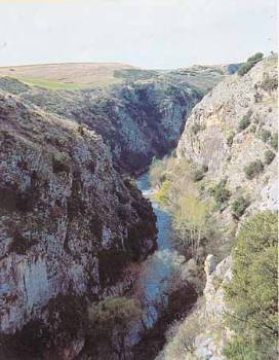 Aggiti Alistrati